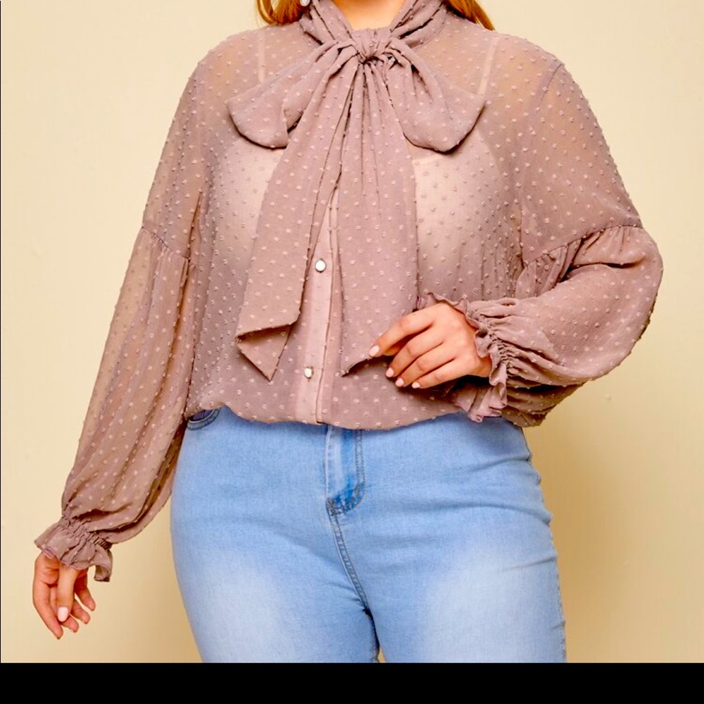 Cute sheer top